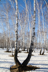 Similar image 21758714