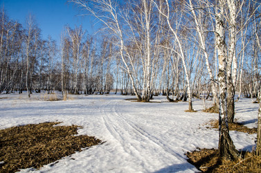 Similar image 21758715