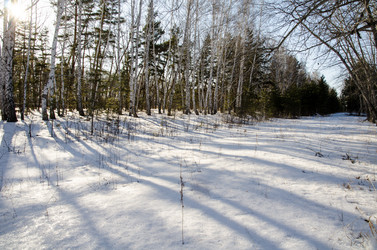 Similar image 21758717