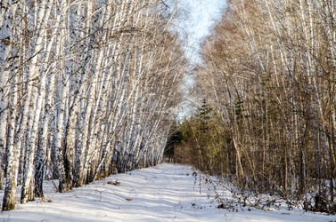 Similar image 21758718