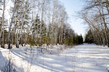 Similar image 21758719