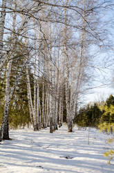 Similar image 21758720