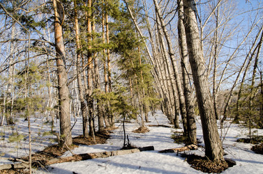 Similar image 21758722