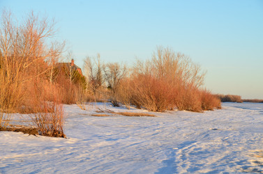 Similar image 21758727