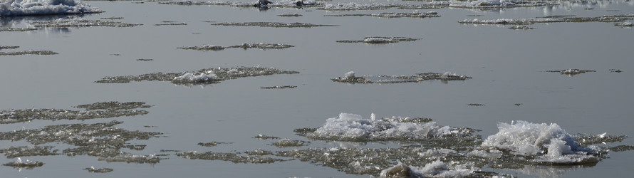 Similar image 21758751