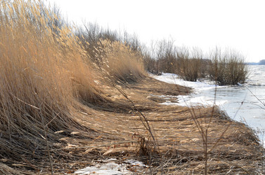 Similar image 21758753