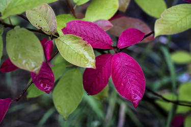 Similar image 21760127