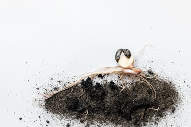 Similar image 21761528