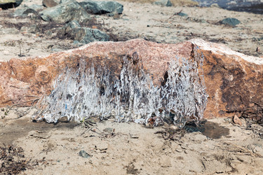 Similar image 21760198