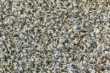 Similar image 21761536