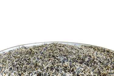 Similar image 21760202