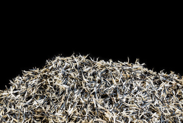 Similar image 21761537