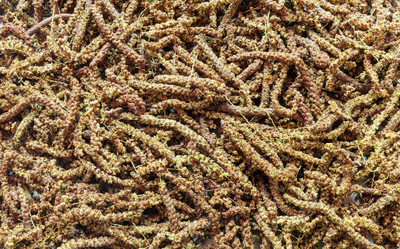 Similar image 21761538