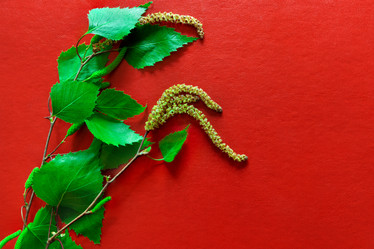 Similar image 21761539