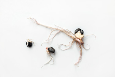 Similar image 21761540