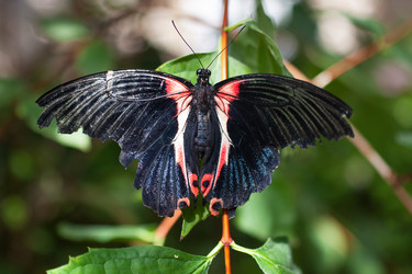 Similar image 21760448