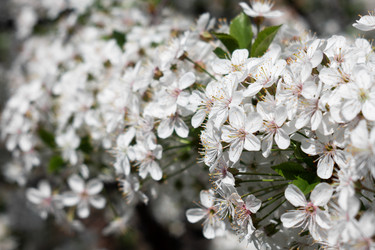 Similar image 21760360