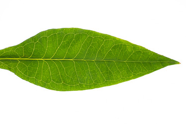 Similar image 21760460