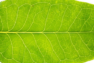 Similar image 21760461