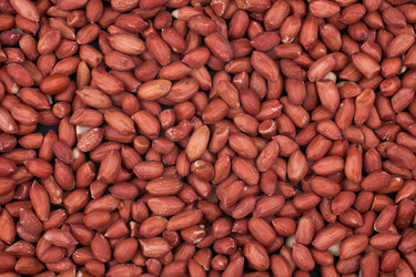 Similar image 21760469