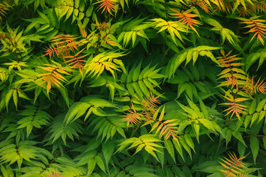 Similar image 21760130