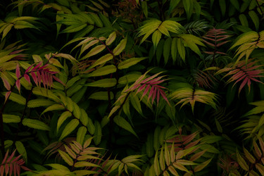 Similar image 21760131