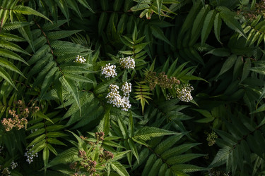 Similar image 21760132