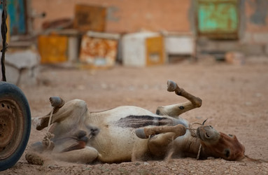 Similar image 21765058