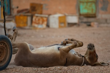 Similar image 21765059