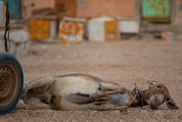 Similar image 21765060