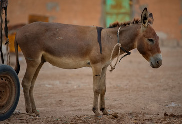 Similar image 21765063