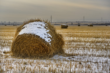 Similar image 21765064