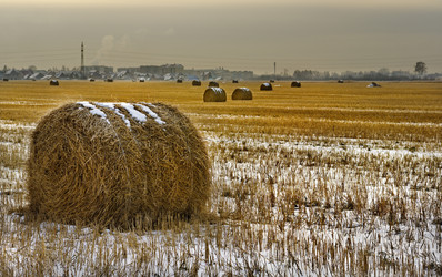 Similar image 21765065