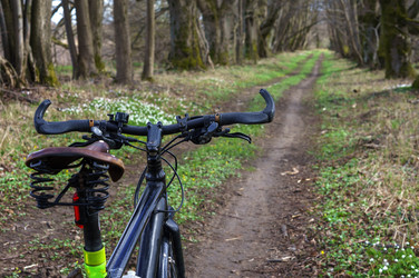 Similar image 21764341