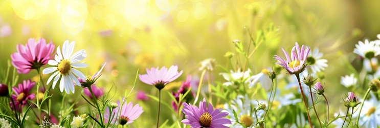 Similar image 21760801