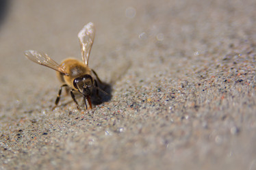 Similar image 21760929