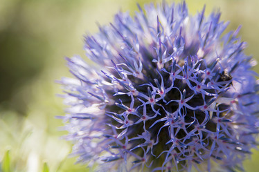 Similar image 21760829