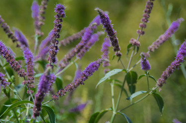 Similar image 21760830