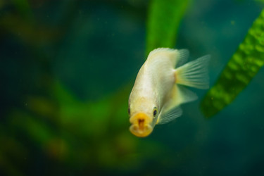 Similar image 21760832