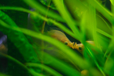 Similar image 21760834