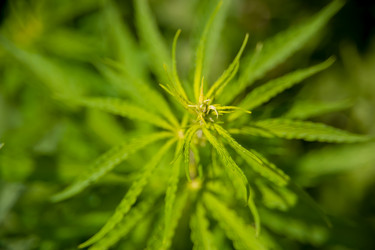 Similar image 21760836