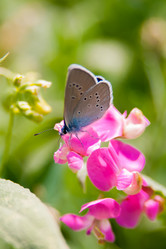 Similar image 21760837