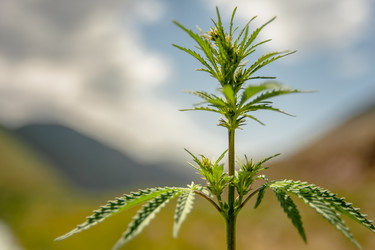 Similar image 21760839