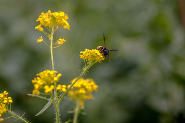 Similar image 21760840