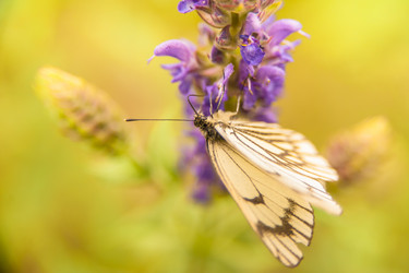 Similar image 21760842