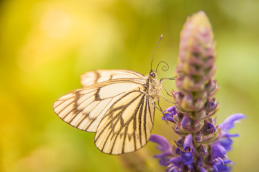 Similar image 21760843