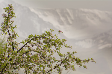 Similar image 21760845