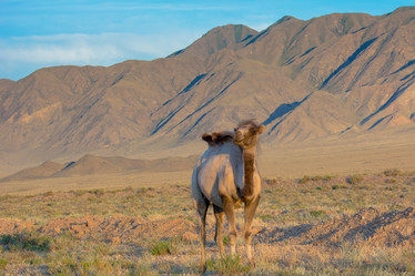 Similar image 21760846