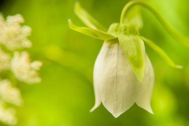 Similar image 21760849