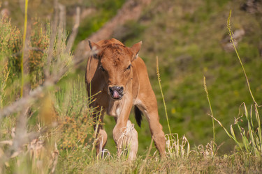 Similar image 21760851